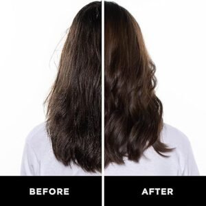 HASK Argan Oil Hair Oil for shine and frizz control repairing for all hair types, colour safe, and cruelty-free -1 59mL Bottle